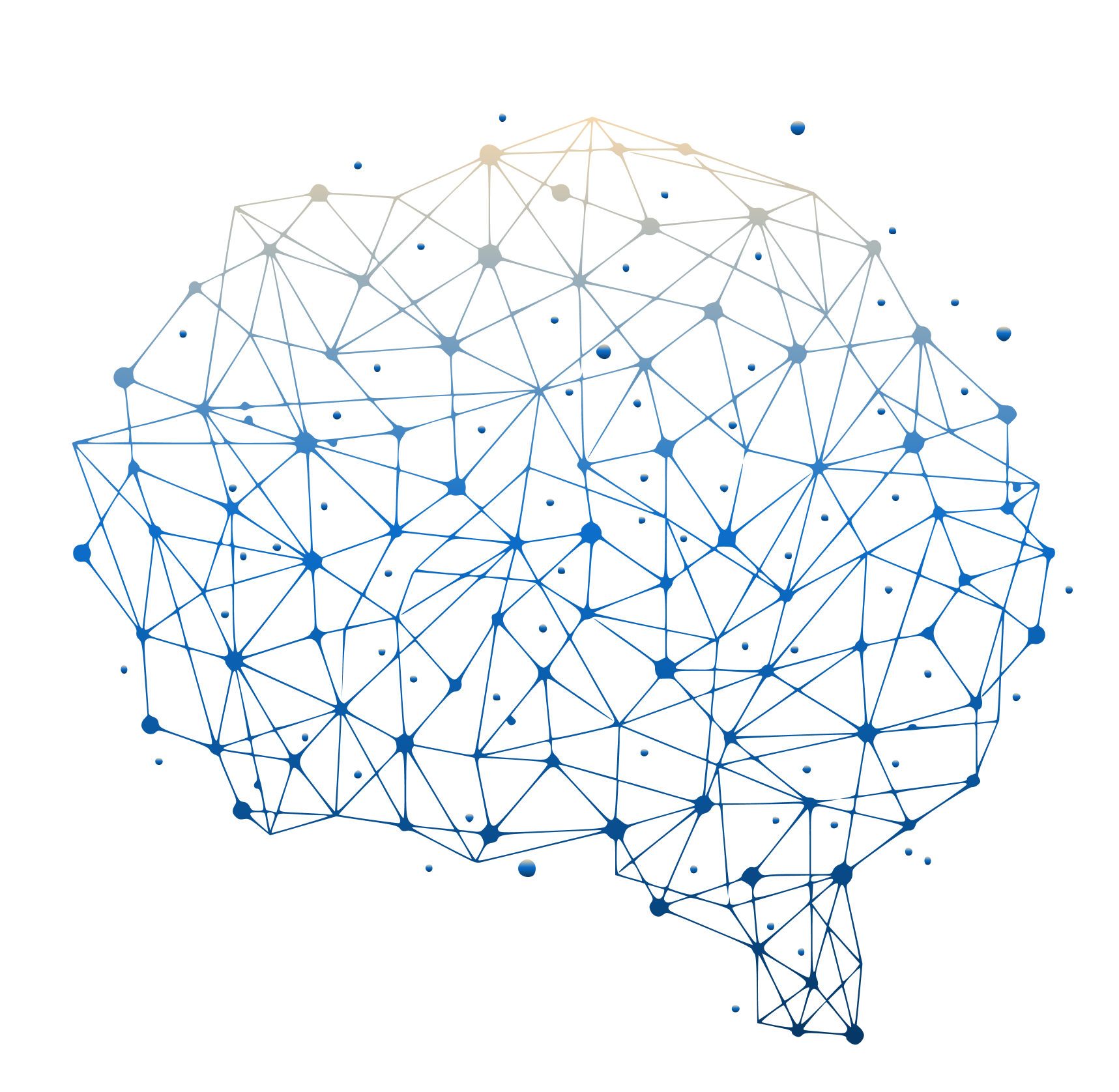 Cerveau