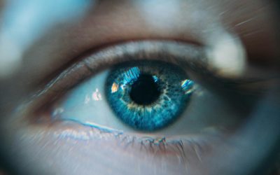 EyeBrain : l’expertise innovante pour analyser et comprendre les mouvements oculaires